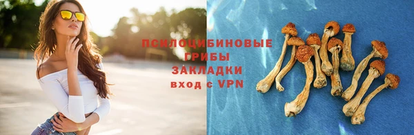 прущие грибы Лагань