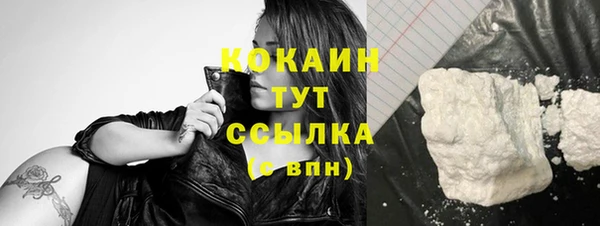 твердый Лабытнанги