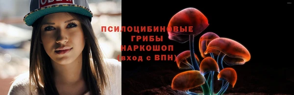прущие грибы Лагань