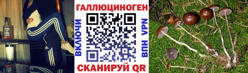 Галлюциногенные грибы ЛСД  OMG вход  Белый  как найти закладки 